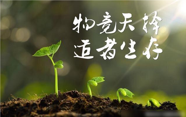 人类的生存本来就是一场血战和肉搏插图 人类的生存本来就是一场血战和肉搏插图
