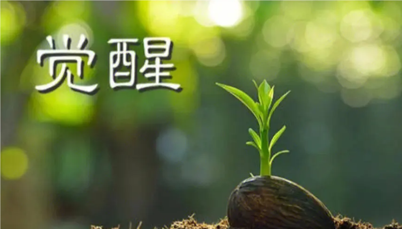 【认知】穷人如何从底层杀出，四个必做步骤一定彻底翻身-阿甘讲认知