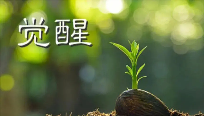 【认知】穷人如何从底层杀出,四个必做步骤一定彻底翻身插图 【认知】穷人如何从底层杀出,四个必做步骤一定彻底翻身插图