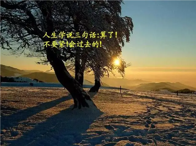 【认知】人生就是一直在熬,智者允许一切的发生,然后顺势而为插图 【认知】人生就是一直在熬,智者允许一切的发生,然后顺势而为插图