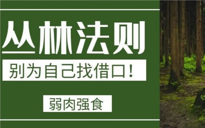 【认知】丛林法则:世界本就是一场动物世界的游戏规则插图 【认知】丛林法则:世界本就是一场动物世界的游戏规则插图