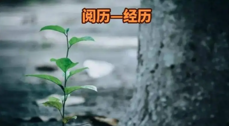 【人生】多做一些感动自己的事，内心就有一句话：如何再年轻一次？-阿甘讲认知