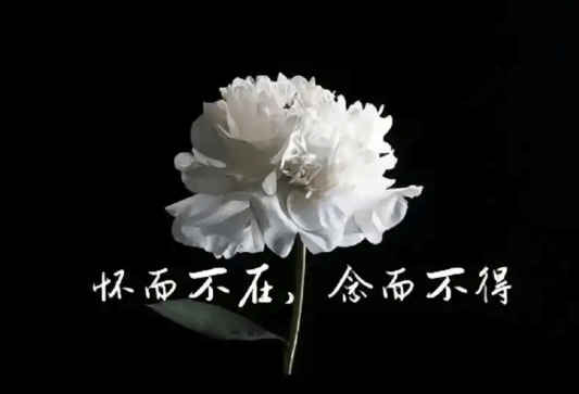 【情感】如何对待亲人的离世,解开自己痛苦心结插图 【情感】如何对待亲人的离世,解开自己痛苦心结插图