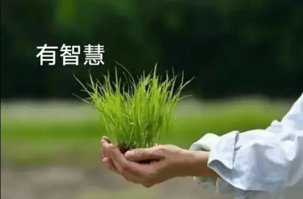 【认知】老领导调走前叮嘱我的处世智慧插图 【认知】老领导调走前叮嘱我的处世智慧插图